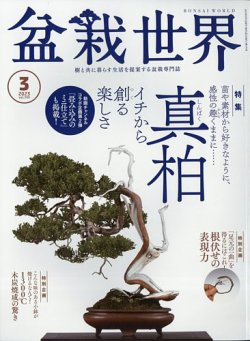 雑誌/定期購読の予約はFujisan 雑誌内検索：【雄花】 が盆栽世界の2023年02月03日発売号で見つかりました！