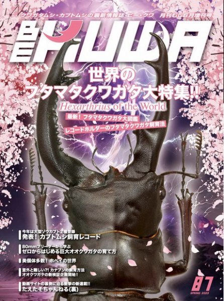 BE-KUWA（ビークワ） 87 (発売日2023年04月14日) 表紙
