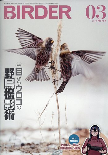 BIRDER（バーダー） 2023年3月号 (発売日2023年02月16日) | 雑誌/電子 