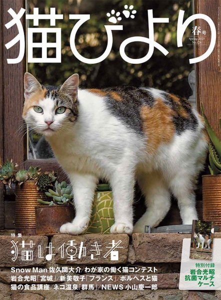 猫びより 猫びより 春号 (発売日2023年03月10日) 表紙