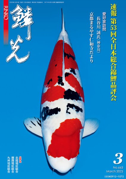 鱗光 2023年02月15日発売号 表紙