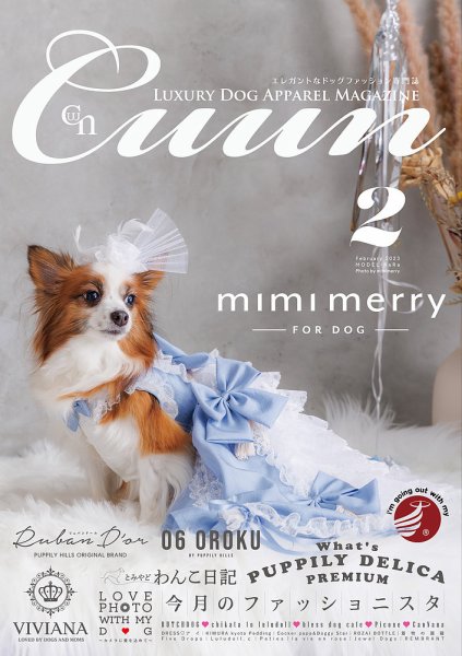Cuun（クーン） 2023年2月号 (発売日2023年02月10日) 表紙
