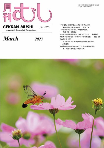 月刊むし 625 (発売日2023年02月20日) 表紙