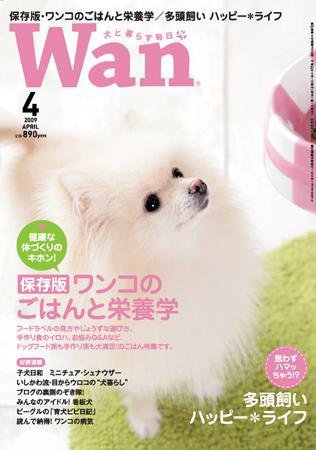 wan（わん） 2009年4月号 (発売日2009年03月14日) 表紙