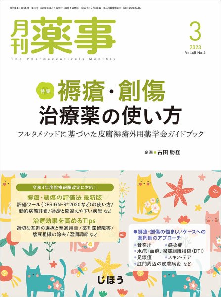 月刊薬事 Vol.65 No.04 (発売日2023年03月01日) 表紙