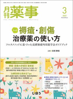 月刊薬事 Vol.65 No.04 (発売日2023年03月01日) 表紙