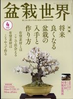 盆栽世界 2023年4月号 表紙