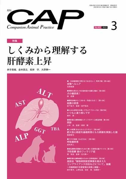 月刊CAP 2023年3月号 (発売日2023年03月01日) 表紙