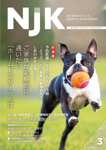 NJK Vol.259 (発売日2023年03月01日) 表紙