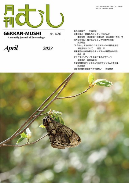 月刊むし 626 (発売日2023年03月20日) 表紙