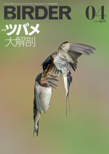 BIRDER（バーダー） 2023年4月号 (発売日2023年03月16日) 表紙