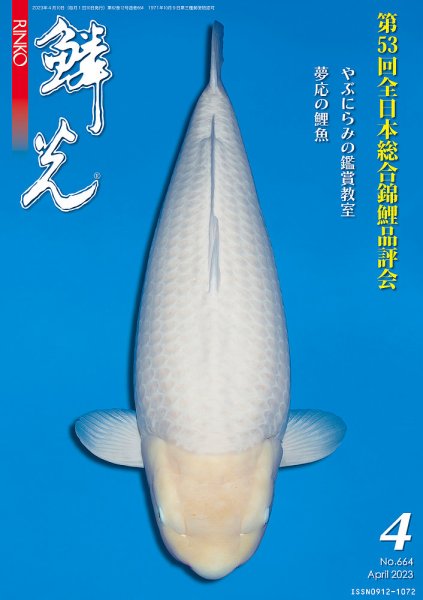 鱗光 2023年03月15日発売号 表紙