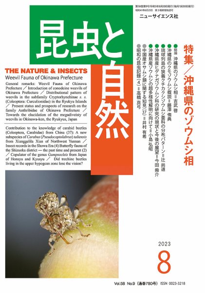 昆虫と自然 2023年8月号 (発売日2023年07月22日) 表紙