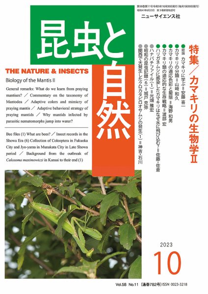 昆虫と自然 2023年10月号 (発売日2023年09月20日) 表紙
