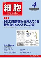 細胞 2023年4月号 表紙