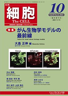 細胞 10月臨時増刊号 (発売日2023年09月30日) 表紙