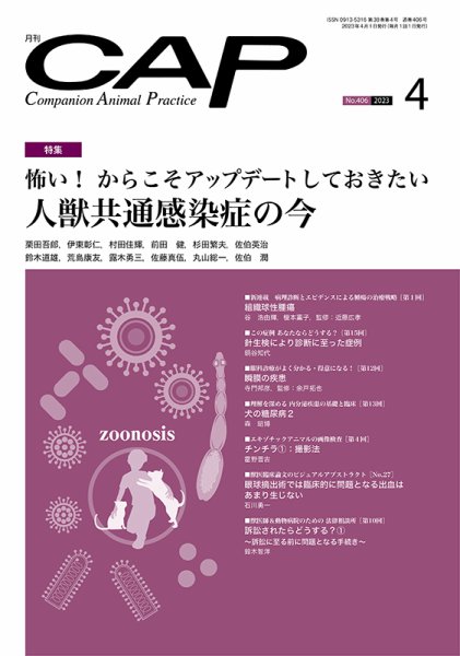 月刊CAP 2023年4月号 (発売日2023年04月01日) 表紙
