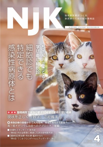 NJK Vol.260 (発売日2023年04月01日) 表紙