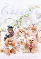 Cuun（クーン） 2023年4月号 (発売日2023年04月10日) 表紙