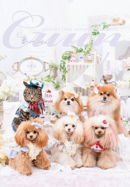 Cuun（クーン） 2023年4月号 (発売日2023年04月10日) 表紙