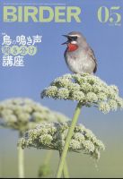 BIRDER（バーダー） 2023年5月号 表紙