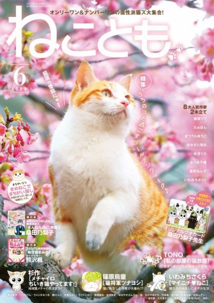 ねことも 2023年6月号 (発売日2023年04月14日) 表紙