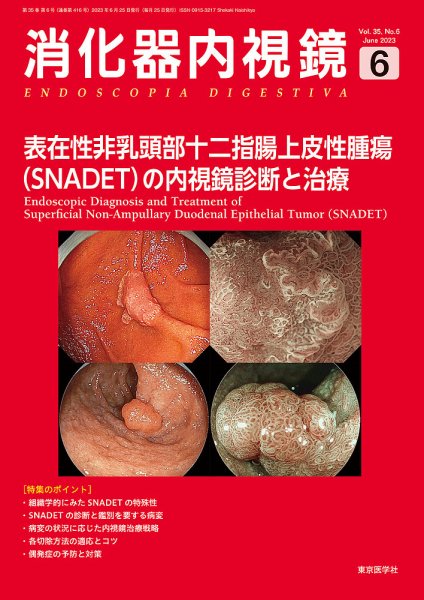 消化器内視鏡 23年6月号 (発売日2023年06月28日) 表紙