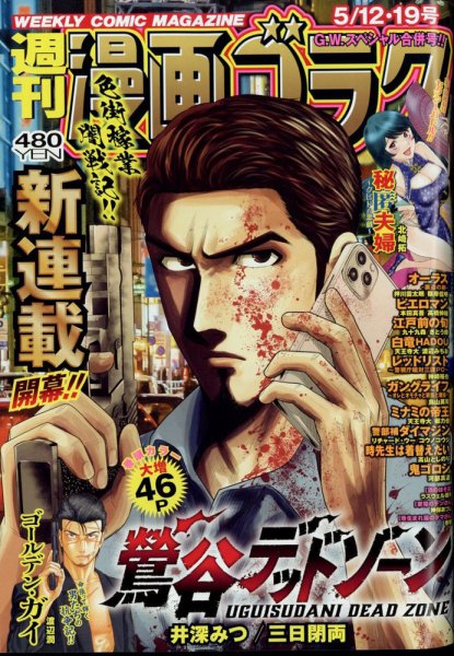 週刊漫画ゴラク 2023年5/19号 (発売日2023年04月28日) 表紙