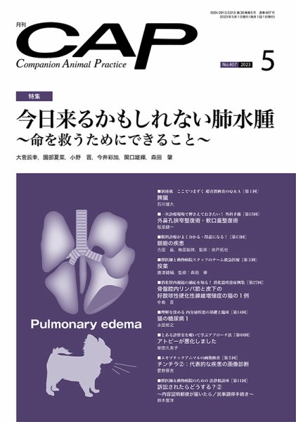 月刊CAP 2023年5月号 (発売日2023年05月01日) 表紙
