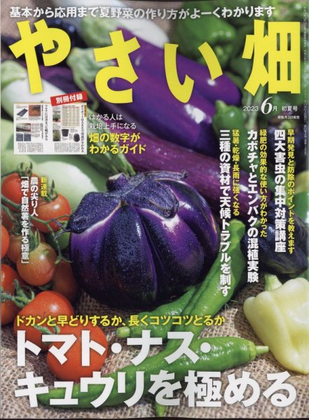 やさい畑 2023年6月号 (発売日2023年05月02日) 表紙