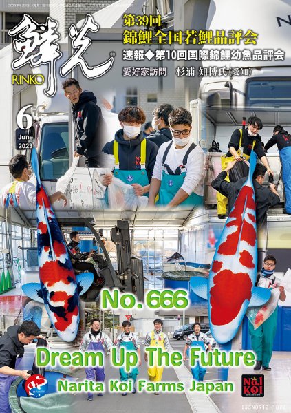 鱗光 2023年05月15日発売号 表紙