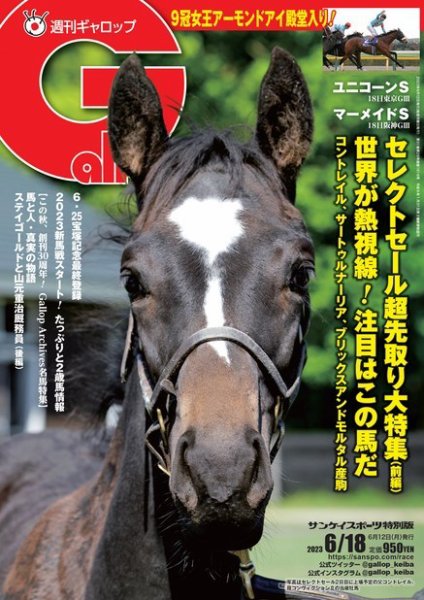週刊Gallop（ギャロップ） 2023年06月12日発売号 表紙