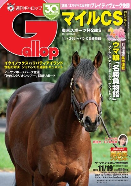 週刊Gallop（ギャロップ） 2023年11月13日発売号 表紙