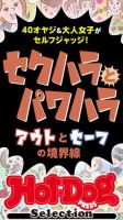 Hot-Dog PRESS Selection（ホットドッグプレスセレクション） セクハラとパワハラ アウトとセーフの境界線 表紙