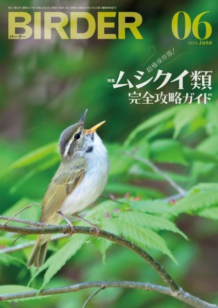 BIRDER（バーダー） 2023年6月号 (発売日2023年05月16日) 表紙