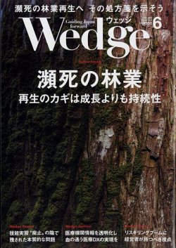 中古】 東京ウォーク/日地出版/日地出版株式会社