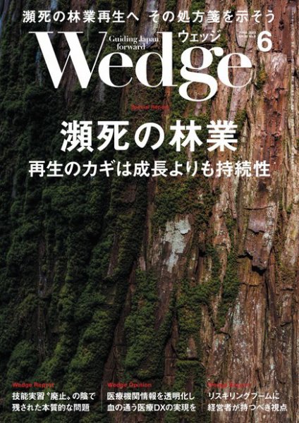 Wedge（ウェッジ） 2023年6月号 (発売日2023年05月19日) 表紙