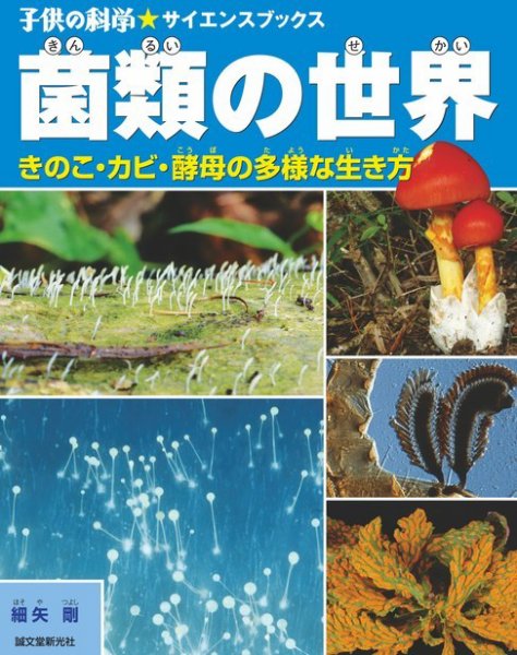 菌類の世界（子供の科学★サイエンスブックス） 2011年07月20日発売号 表紙