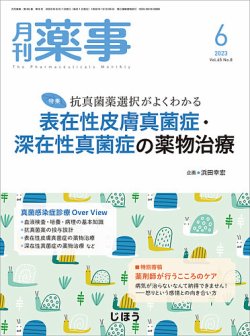 月刊薬事 Vol.65 No.08 (発売日2023年06月01日) | 雑誌/定期購読の予約はFujisan