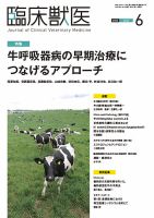 獣医外科学 33cm】 ティラノサウルス と トリケラトプス 縮小全身骨格模型