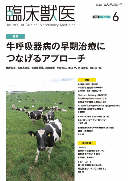 臨床獣医 2023年6月号 (発売日2023年06月01日) 表紙