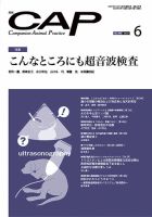 月刊CAP 2023年6月号 表紙