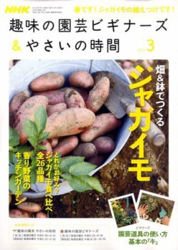 NHK 趣味の園芸 やさいの時間 2010年3月号