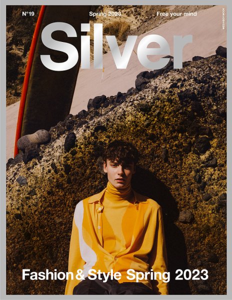 Silver No.19 (発売日2023年03月20日) 表紙