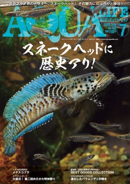 アクアライフ 7月号 (発売日2023年06月09日) 表紙
