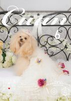 Cuun（クーン） 2023年6月号 (発売日2023年06月10日) 表紙