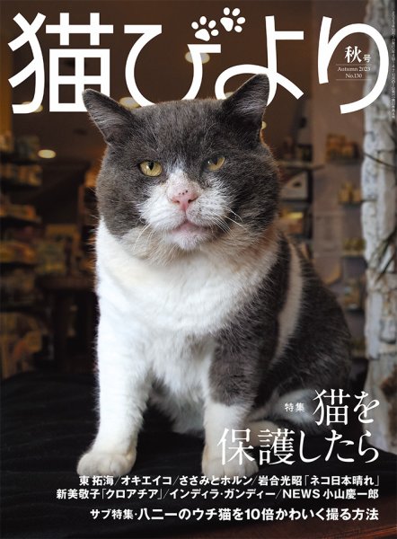 猫びより 猫びより 秋号 (発売日2023年09月12日) 表紙