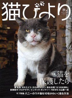 猫びより  猫びより 秋号 (発売日2023年09月12日) 表紙