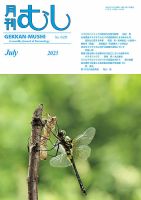 月刊むし 629 表紙