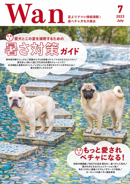 wan（わん） 2023年7月号 (発売日2023年06月14日) 表紙